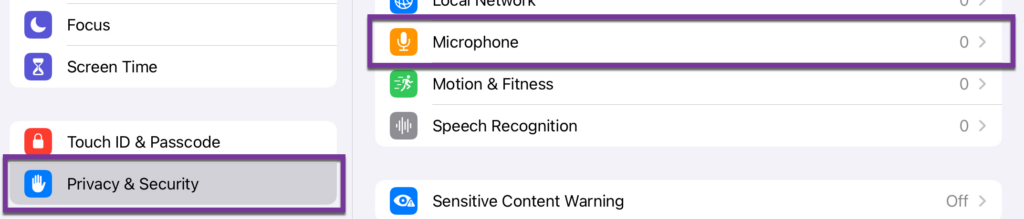 A screenshot from iPad settings showing where to find privacy settings for when you record using the microphone.