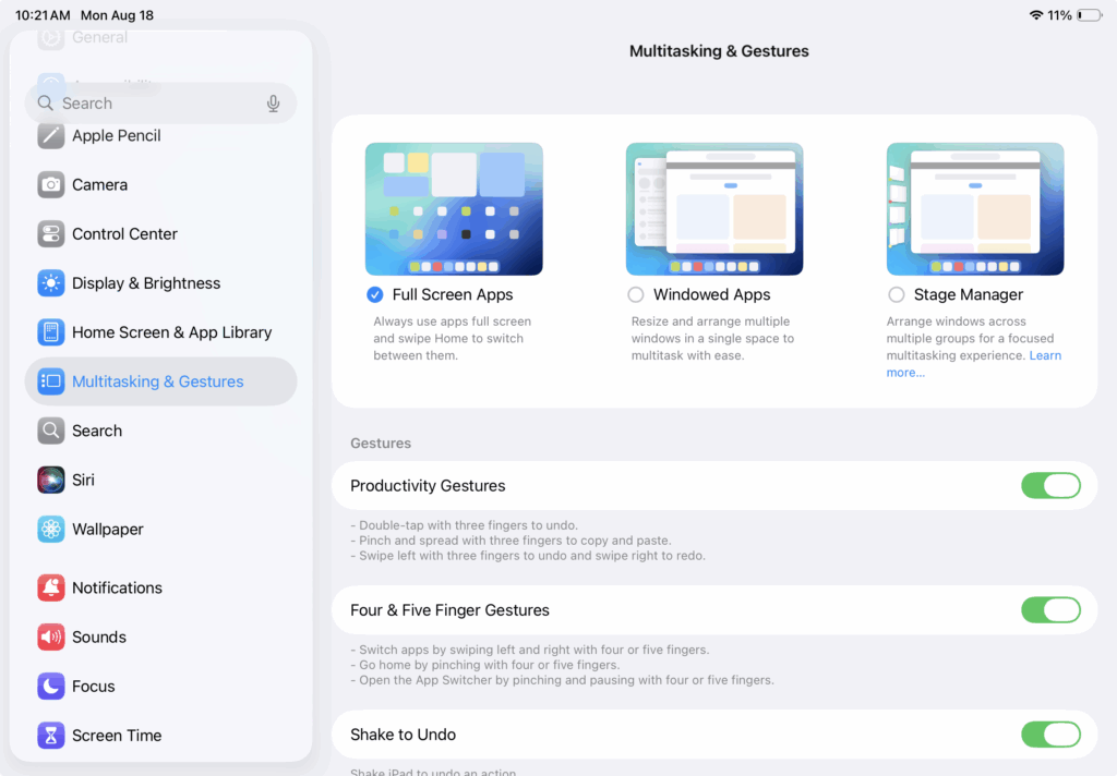 Screenshot of the iPad Settings page showing the different system profiles for managing windowed apps and full screen apps