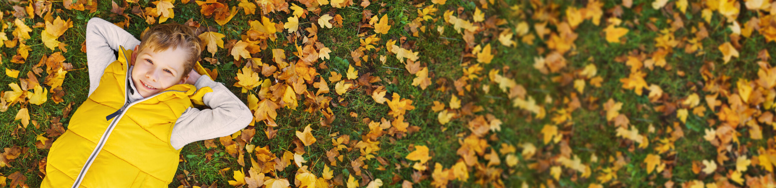 Child Laying In Leaves