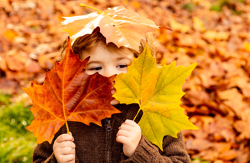 Boy With Leaves Over His Face