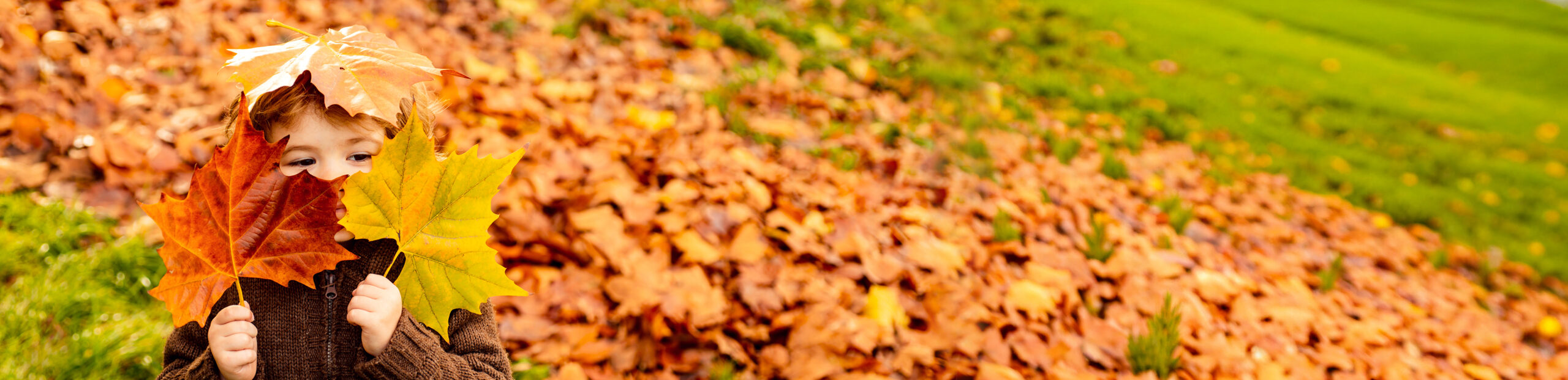 Boy With Leaves Over His Face