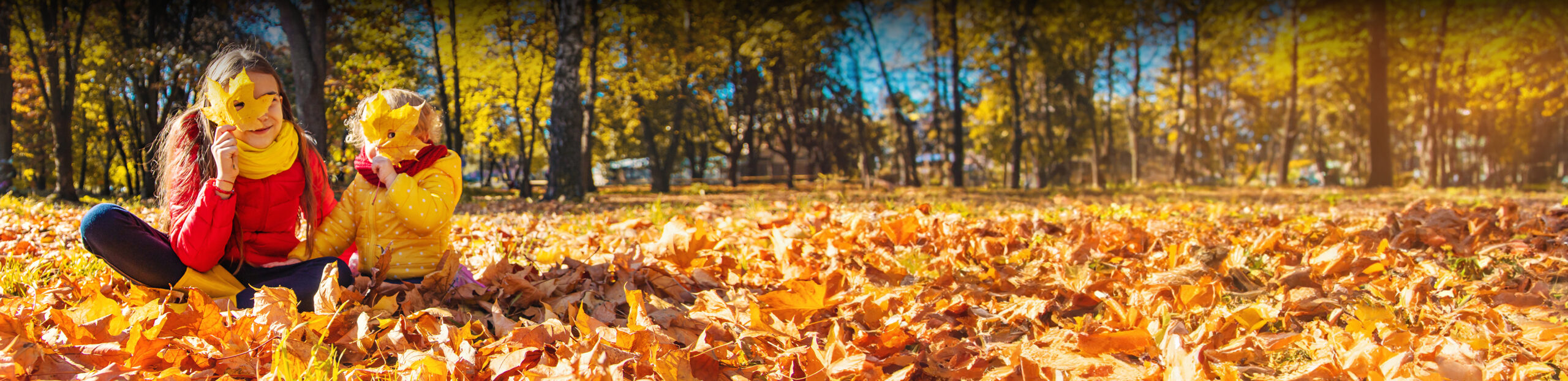 Two kids sitting in fall leaves hiding their faces with the leaves.