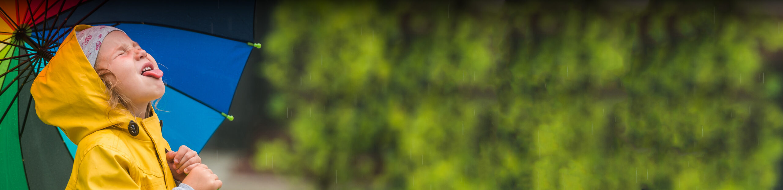 Girl in a yellow rain jacket holding a rainbow umbrella trying to catch a raindrop on her tongue
