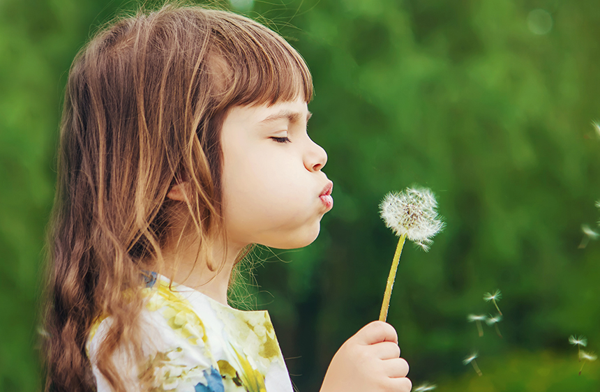 Child blowing on a dandelion